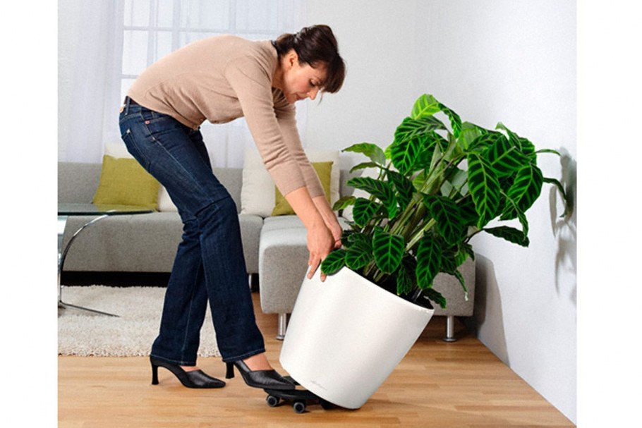 Кашпо Лечуза Classico