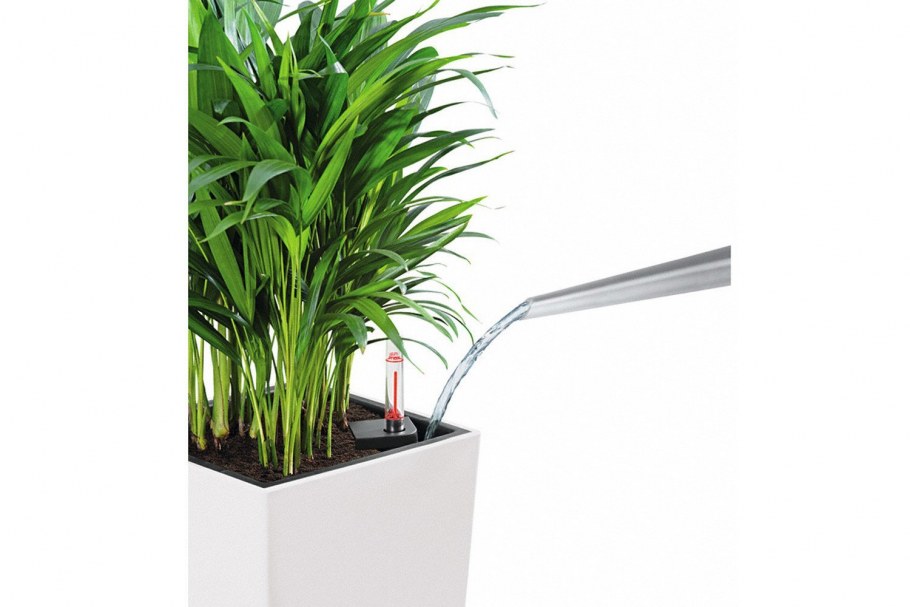 Lechuza cubico Color 30