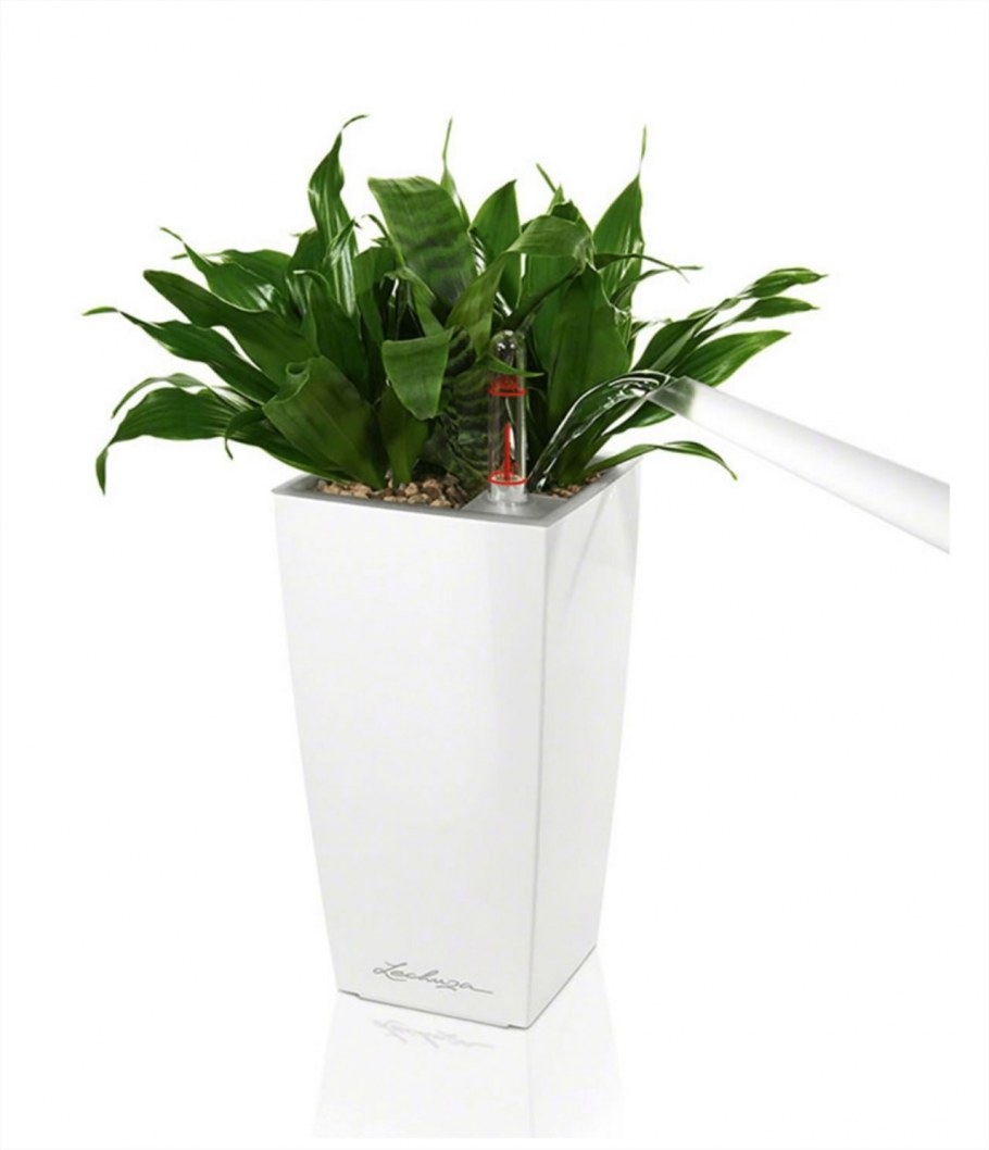 Кашпо с автополивом Lechuza Maxi-Cubi