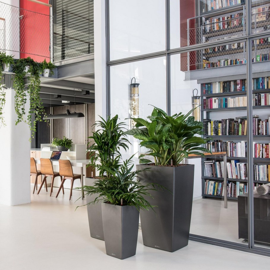 Кашпо Lechuza cubico 30