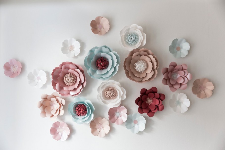 Цветы для украшения комнаты