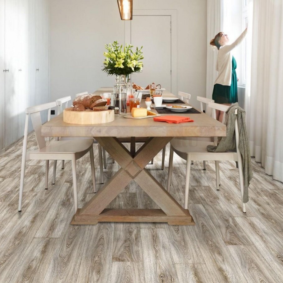 60020 Дуб Montana