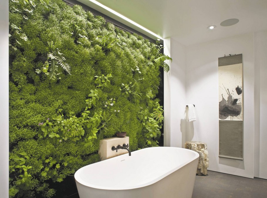 Фитостена в туалете