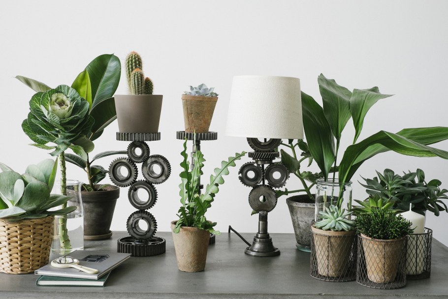 Цветы в интерьере стимпанк