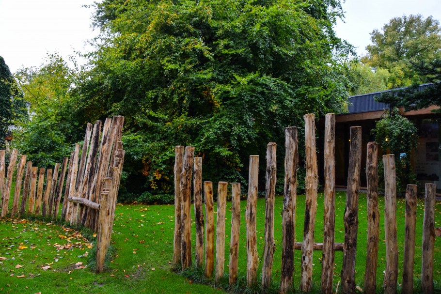 Старый забор