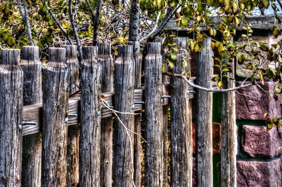 Старый деревянный забор