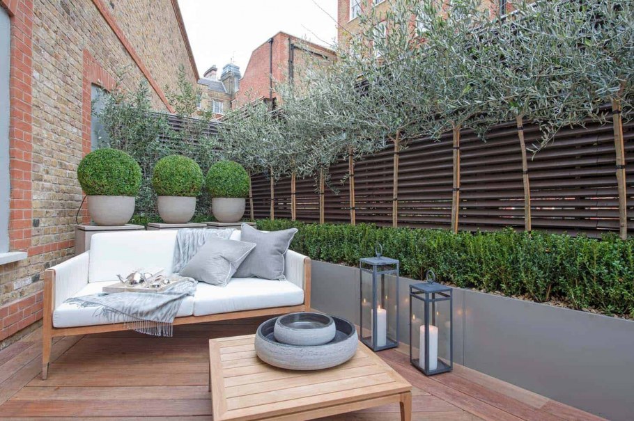 Озеленение веранды и террасы