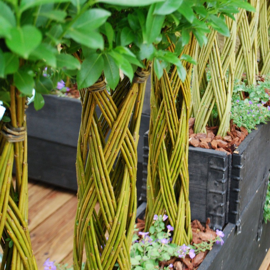 Арка из ивовых прутьев