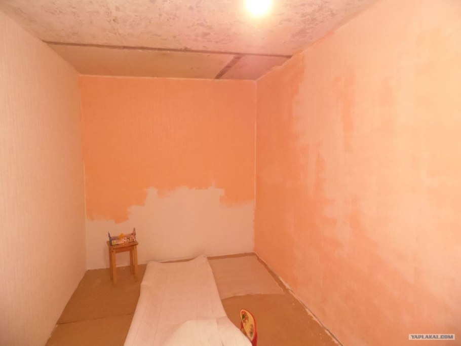 Стены персикового цвета водоэмульсионной