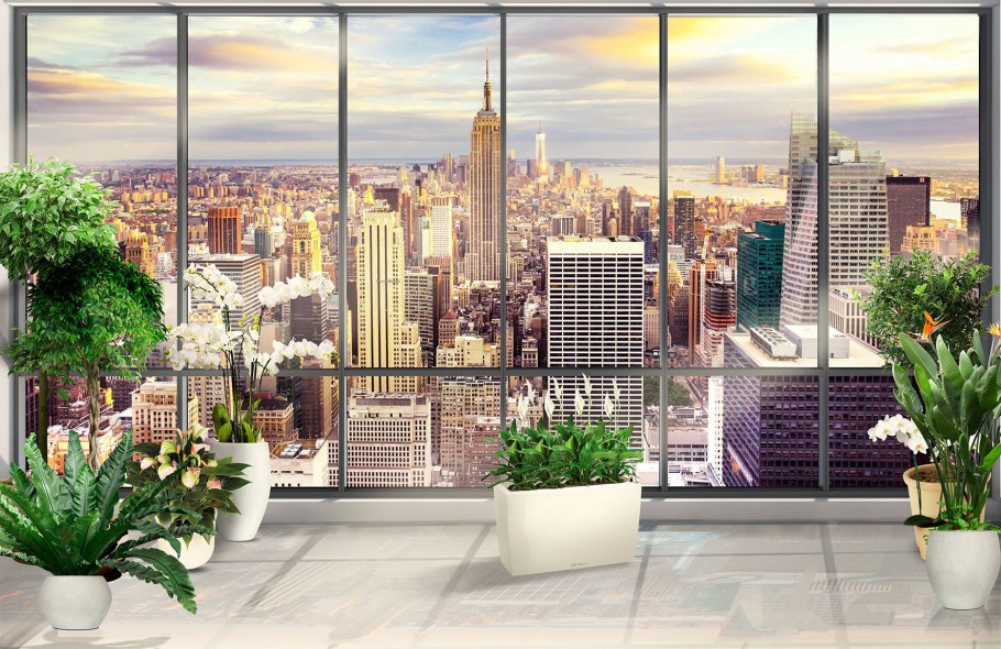 Вид из окна