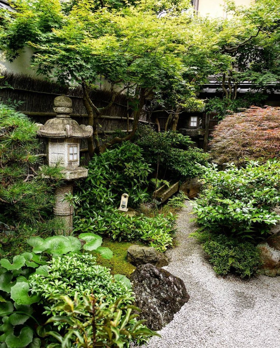 Японский дворик в Ботаническом саду в Москве