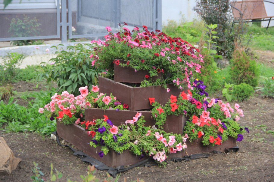 Цветник возле дома