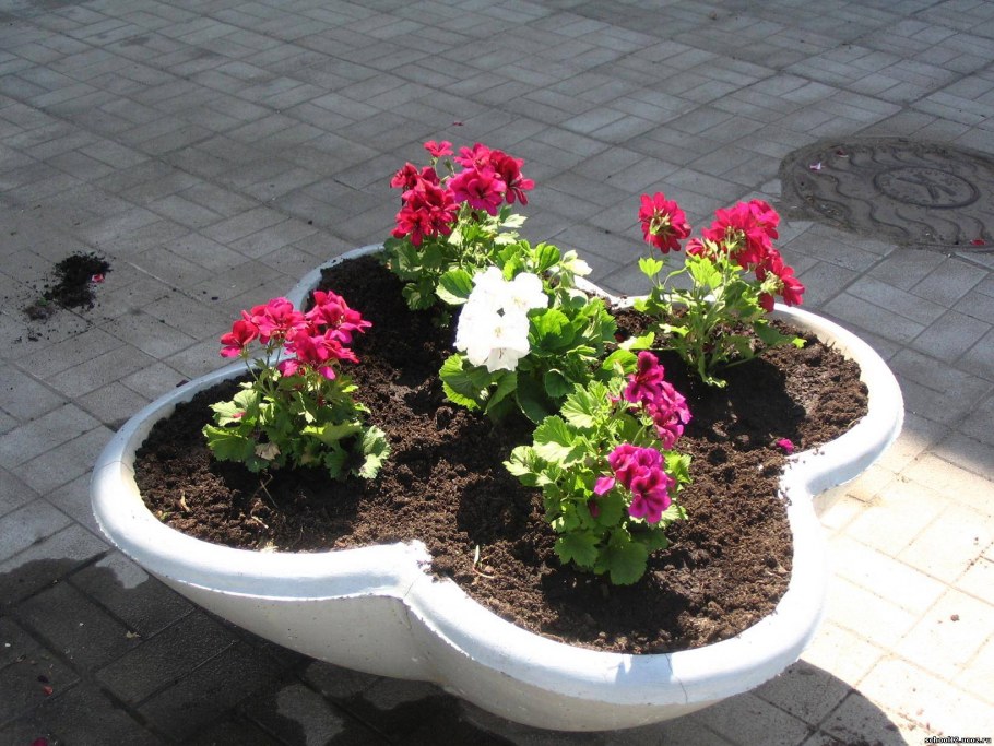 Бордюр из подручных материалов