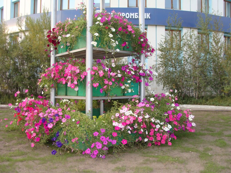 Клумба возле дома