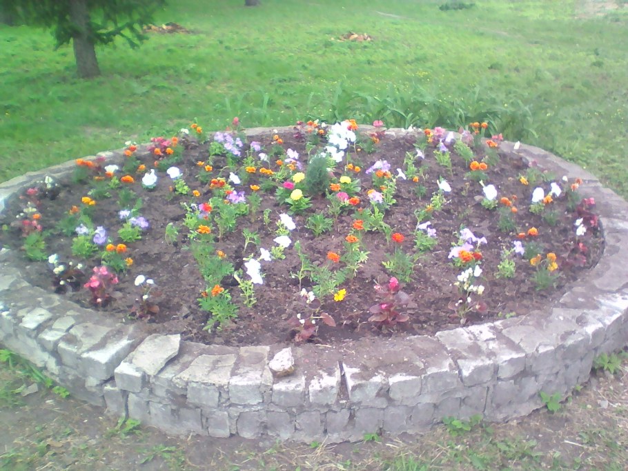 Устройство цветника