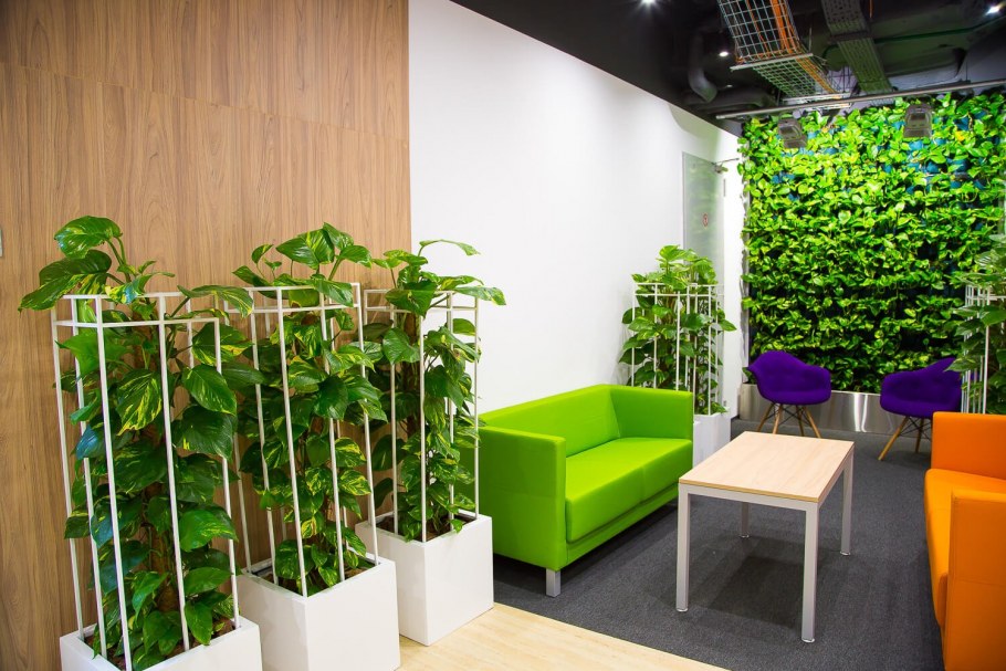 Озеленение помещений