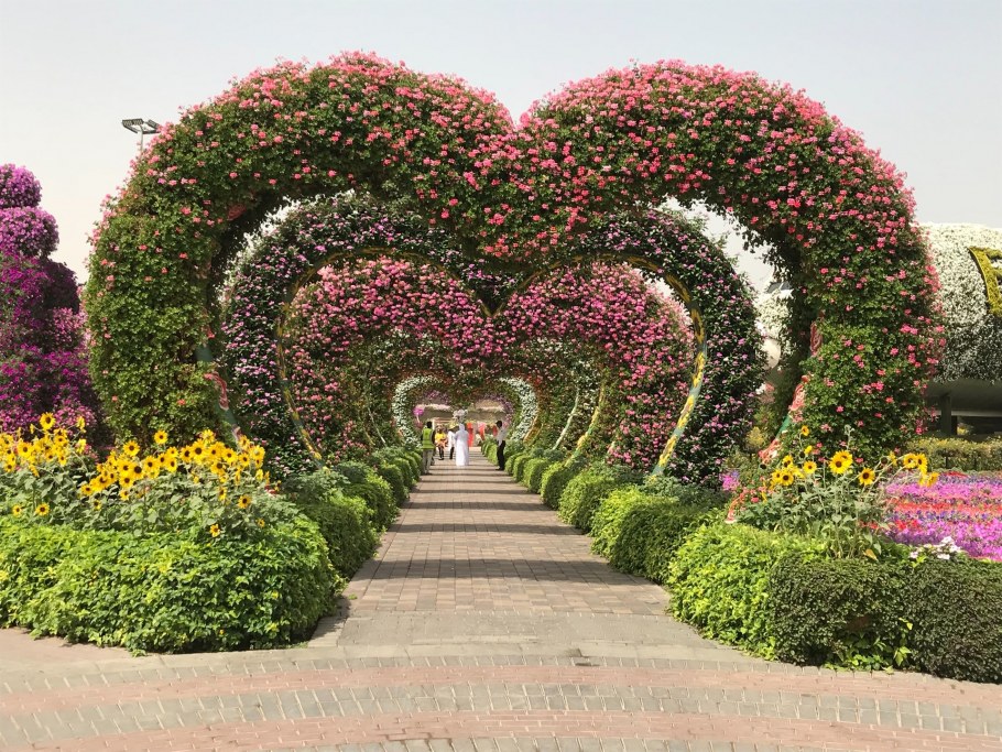 Dubai Miracle Garden амфитеатр