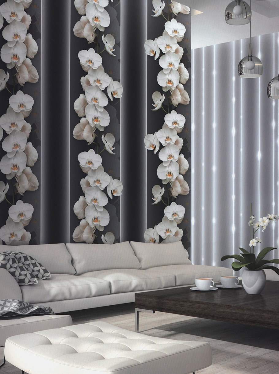 Andrea Rossi Pianosa 54169-6