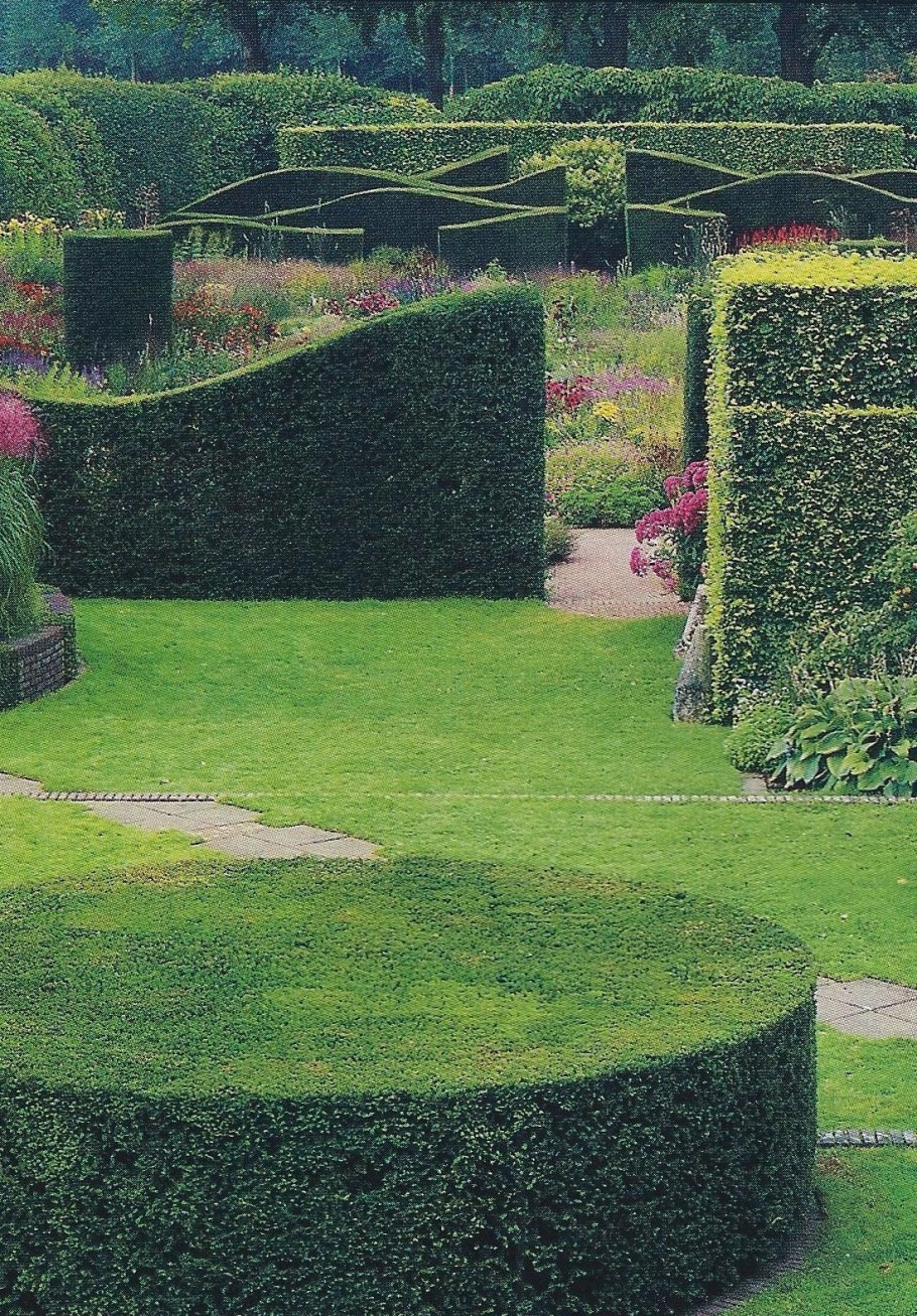 Живая изгородь в частном доме