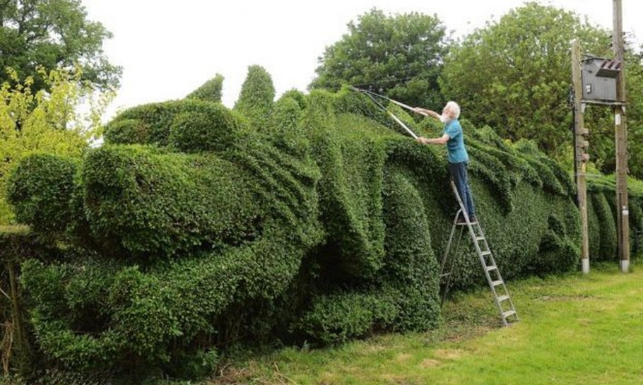 Туя Брабант в ландшафтном