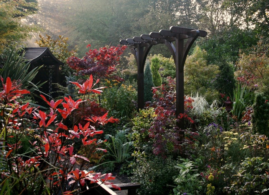 Сад «Jardin exotique»