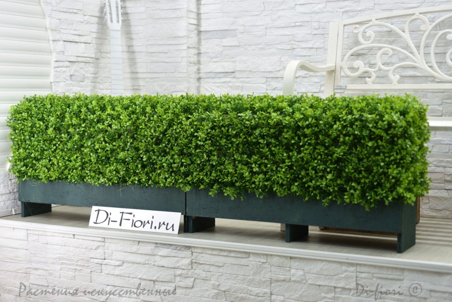 Хмель изгородь вертикальное Озеленение