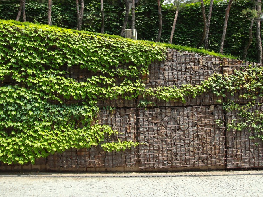 Искусственный самшит (Грин)