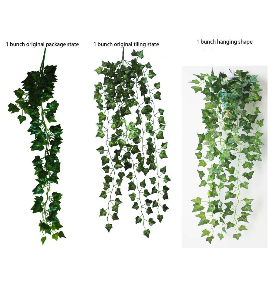 Традесканция фитостена