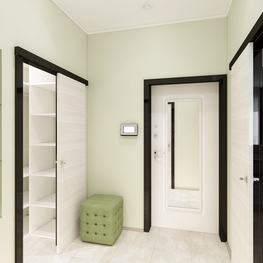 Двери венге в интерьере прихожей