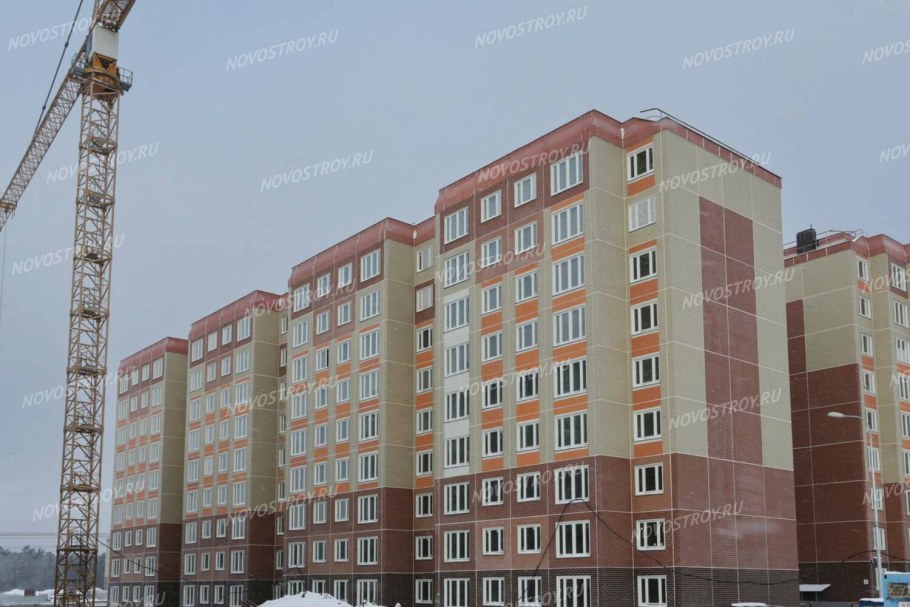 Каток Государев дом