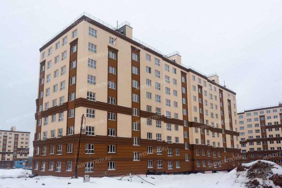 Ленинский район Государев дом