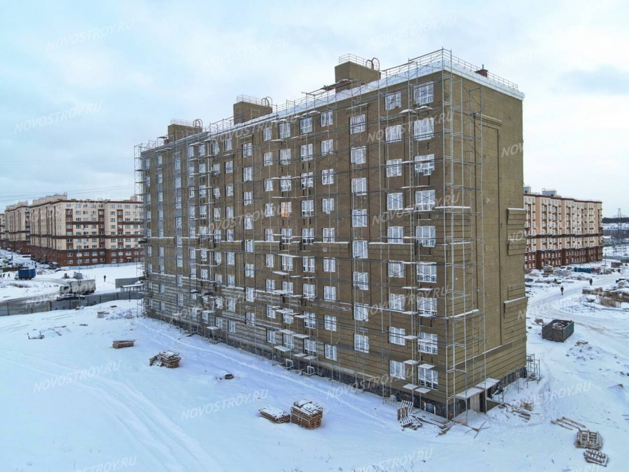 Деревня Лопатино Ленинский район Государев дом