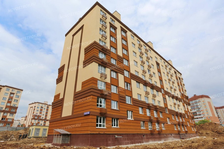 Государев дом проект