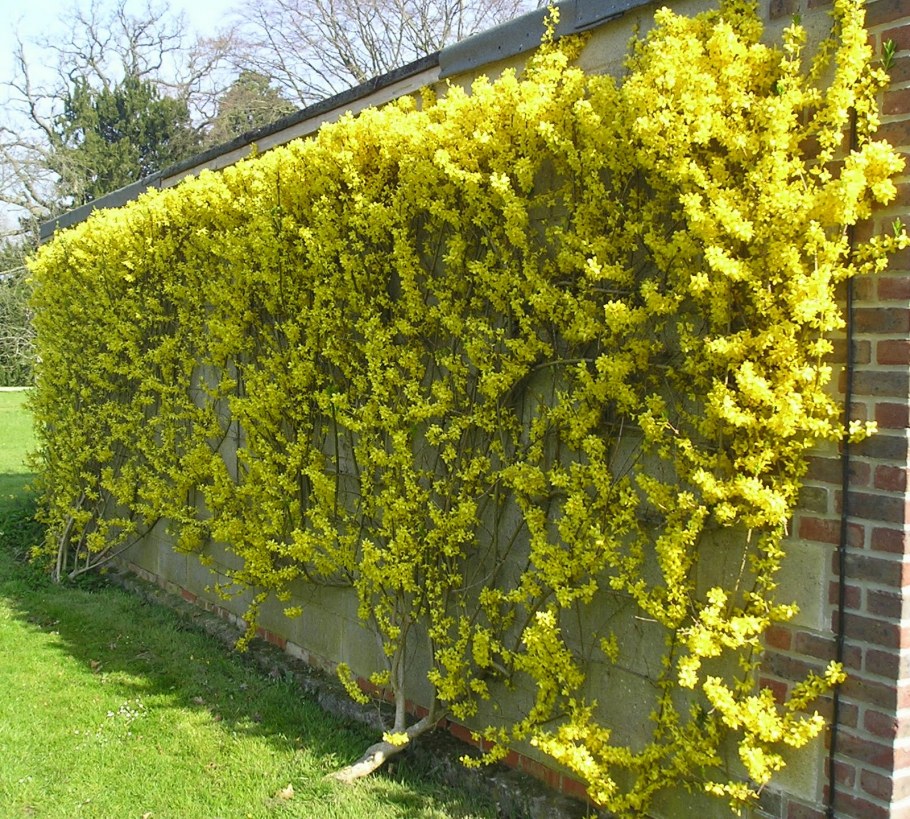 Arjan Boekel ландшафтный Архитектор