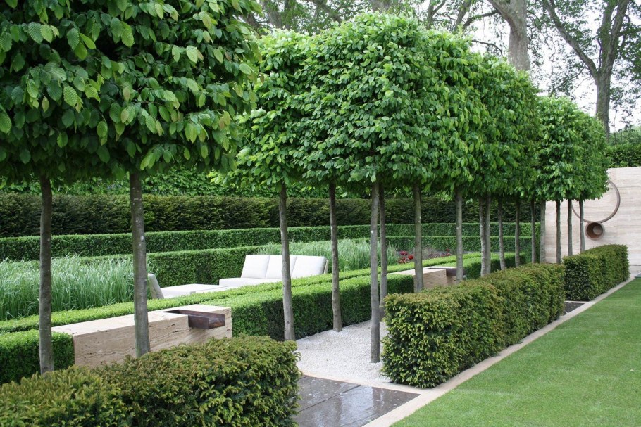 Ворота в живой изгороди