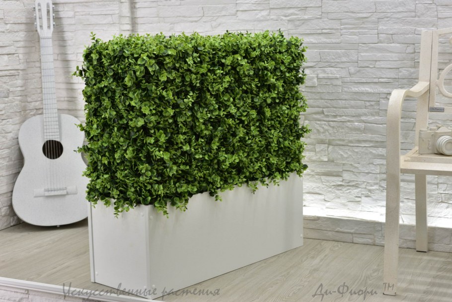 Живая изгородь в пейзажном стиле