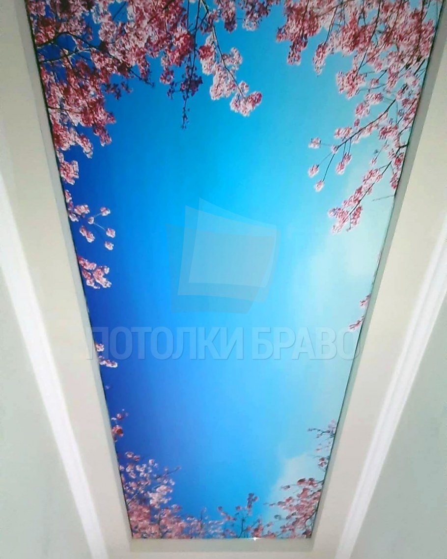 Матовыйнатежной потолок