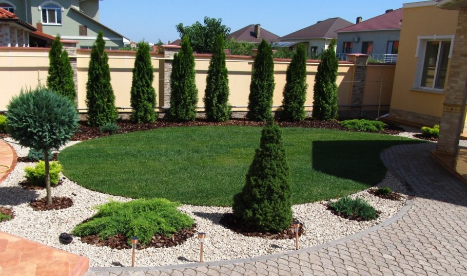 Туя Смарагд и Даника в ландшафте