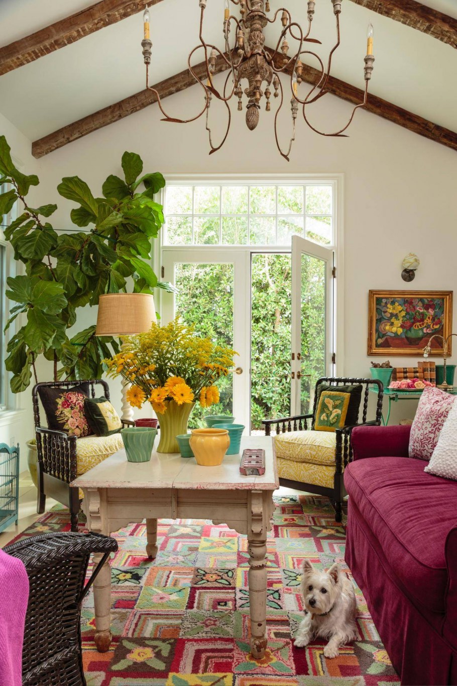 Растения в интерьере кантр