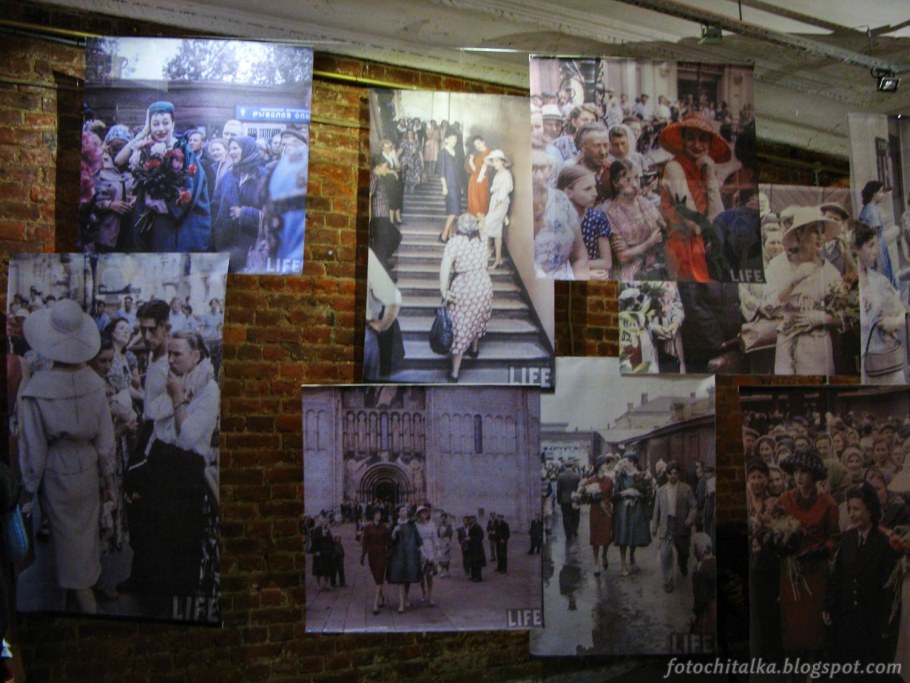 Фото Вдовцов