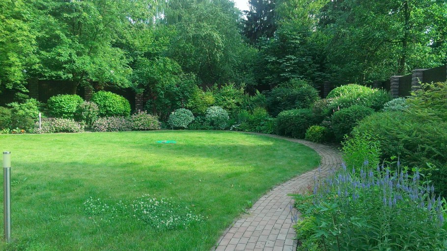 Живая изгородь туя и спирея