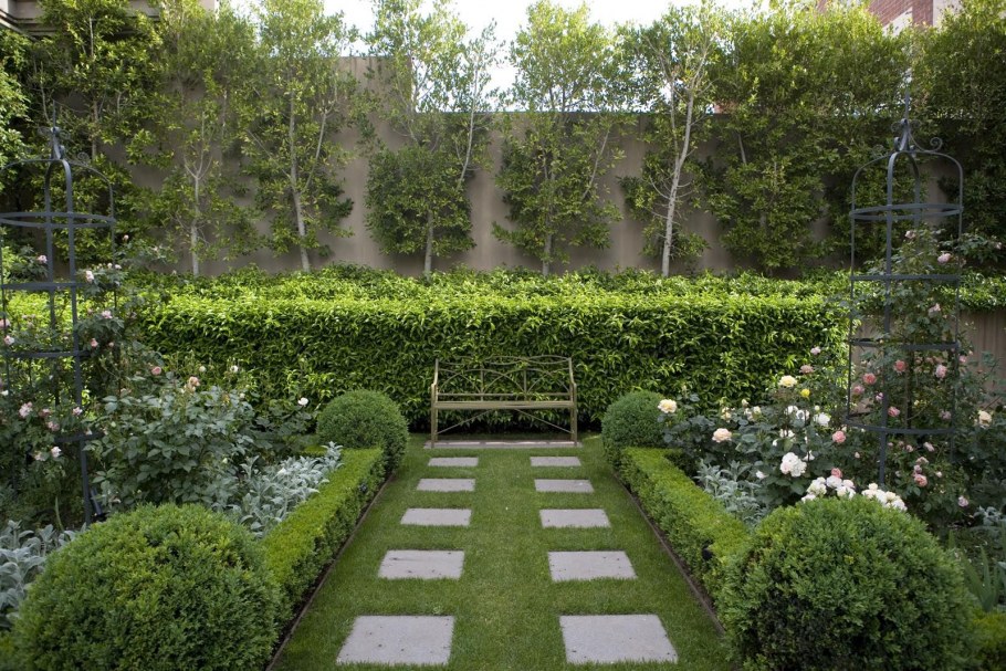 Живая изгородь туя дерен