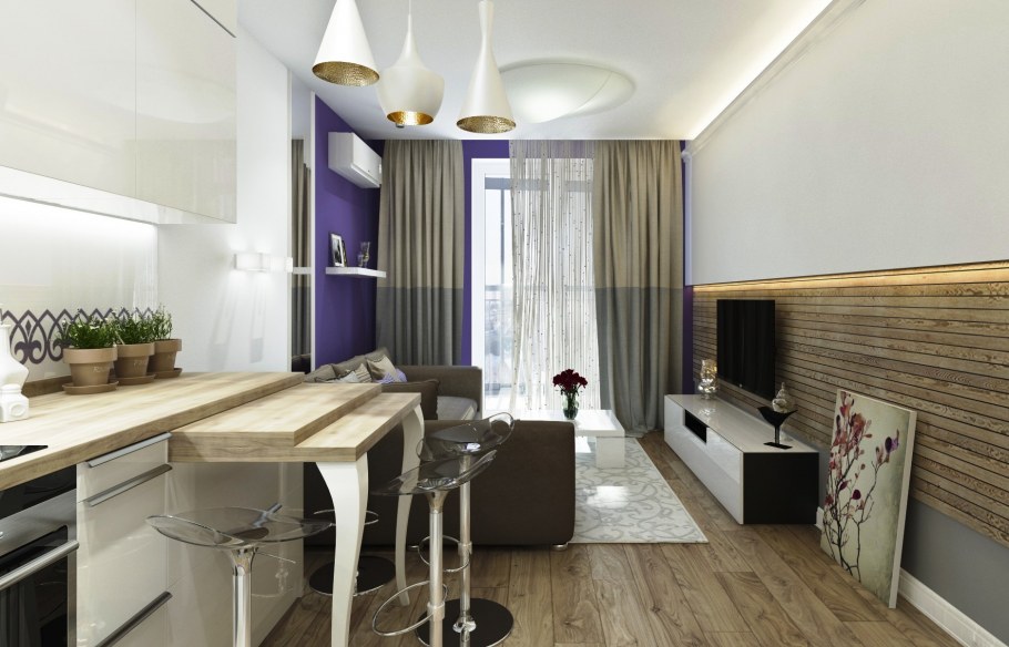 Удлиненная кухня с гостиной