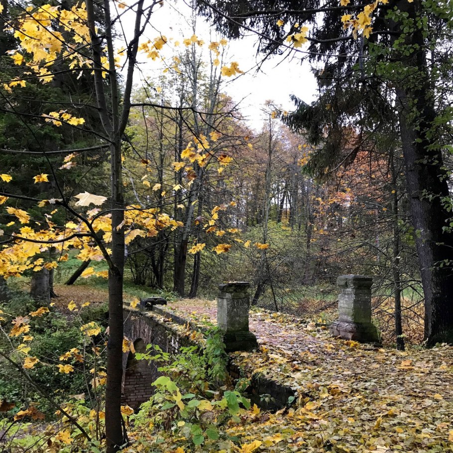 Коттеджный поселок Зеленоградский