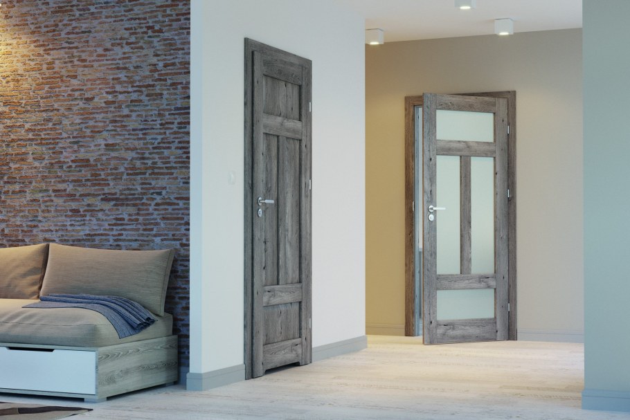 Двери профиль Дорс в интерьере квартир