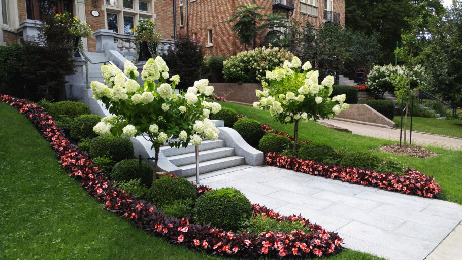 Входная зона Вена ландшафт