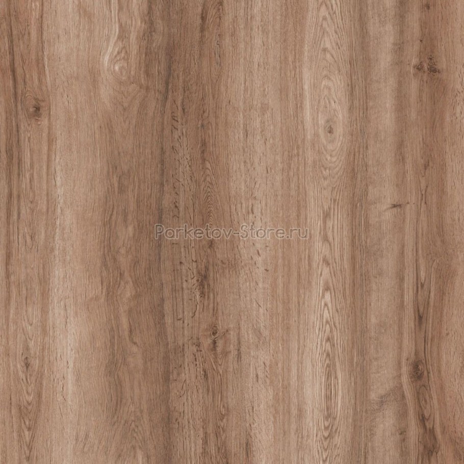 Дуб Эльза Увадрев