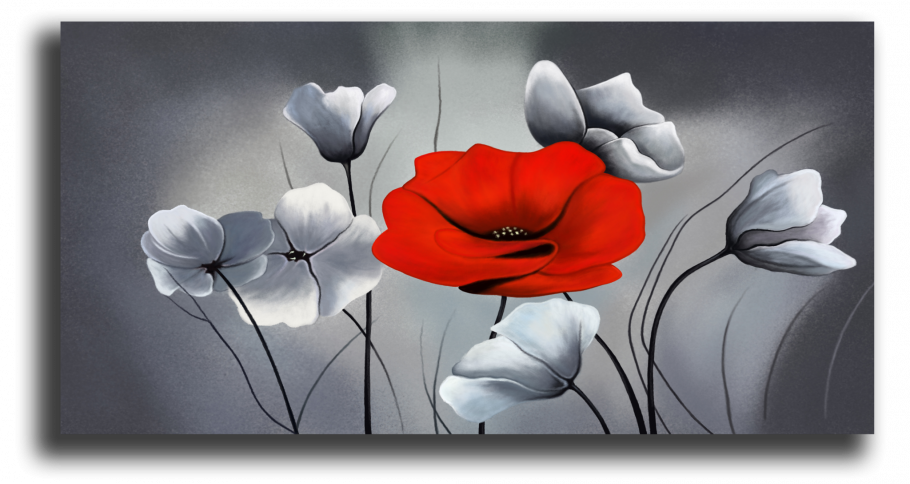 Красные маки на сером фоне