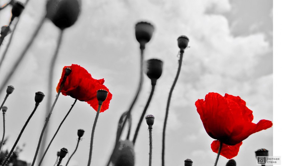 Картины с красным акцентом