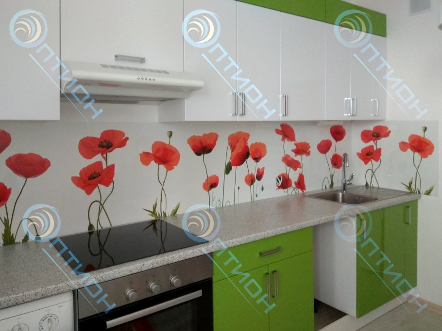 Фартук кухонный АБС-пластик 209 маки 1,5х600х2000мм